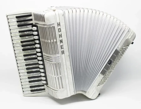 Lectii Acordeon